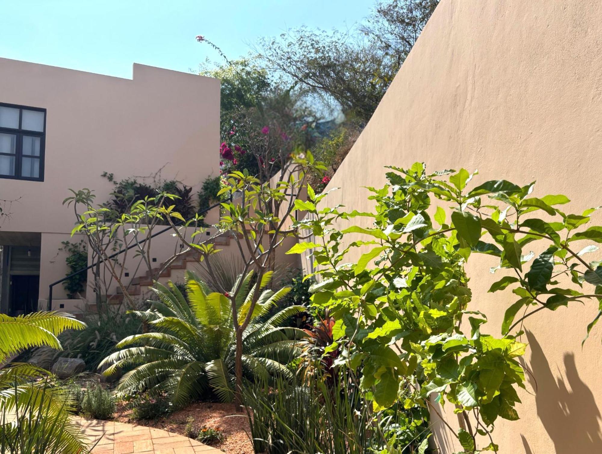 Casa Las Almas Mazunte Εξωτερικό φωτογραφία
